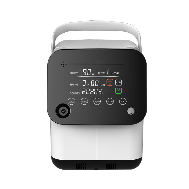 ZY-1S (ZY-1SW) 1L Portable oxygen concentrator ,in China